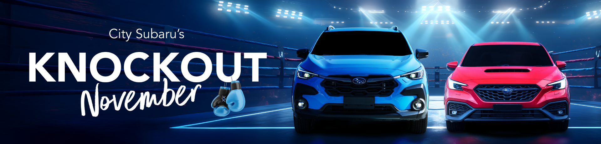 Knockout November Banner